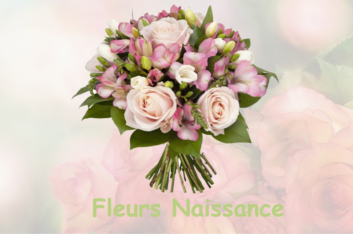 fleurs naissance COSGES