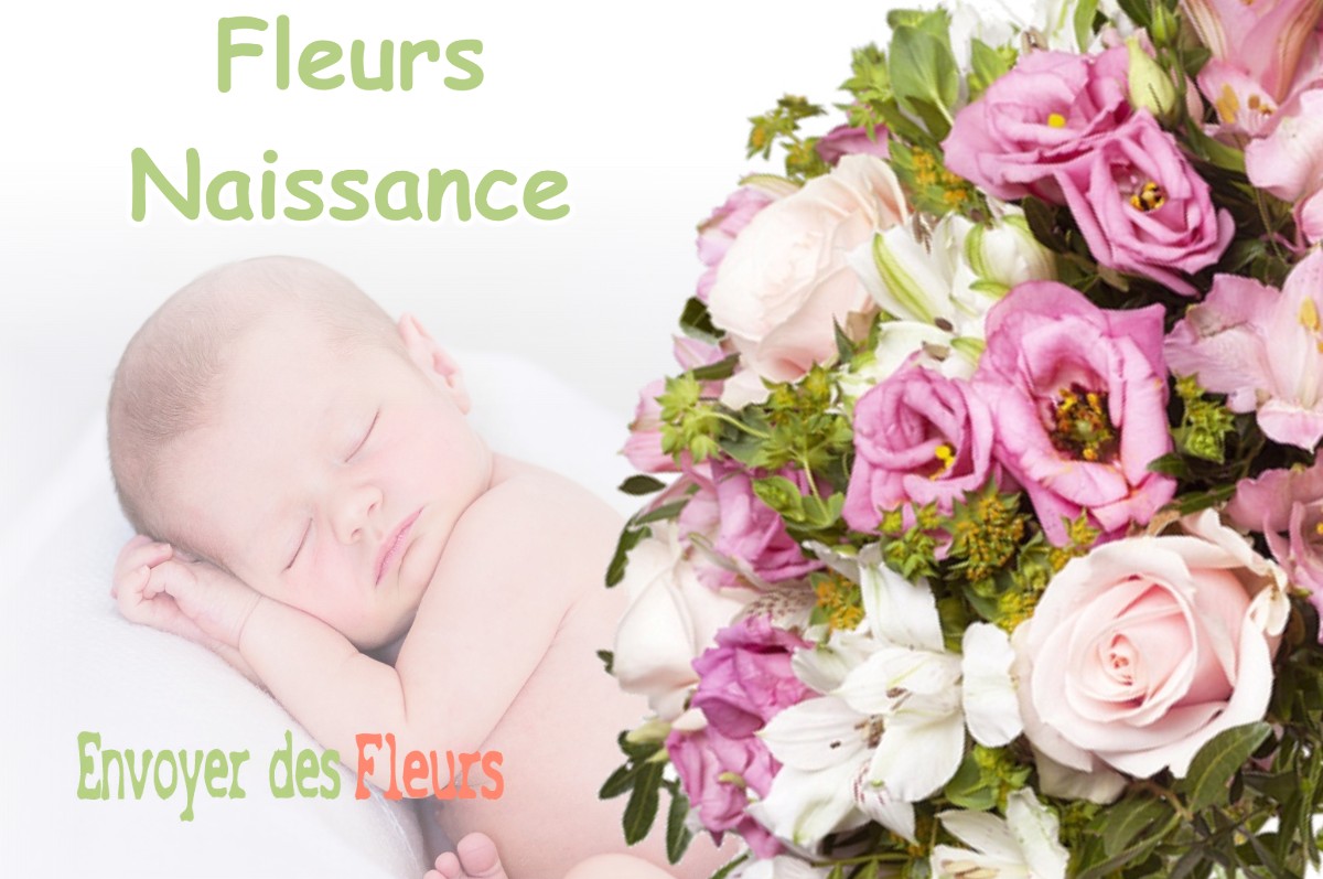 lIVRAISON FLEURS NAISSANCE à COSGES